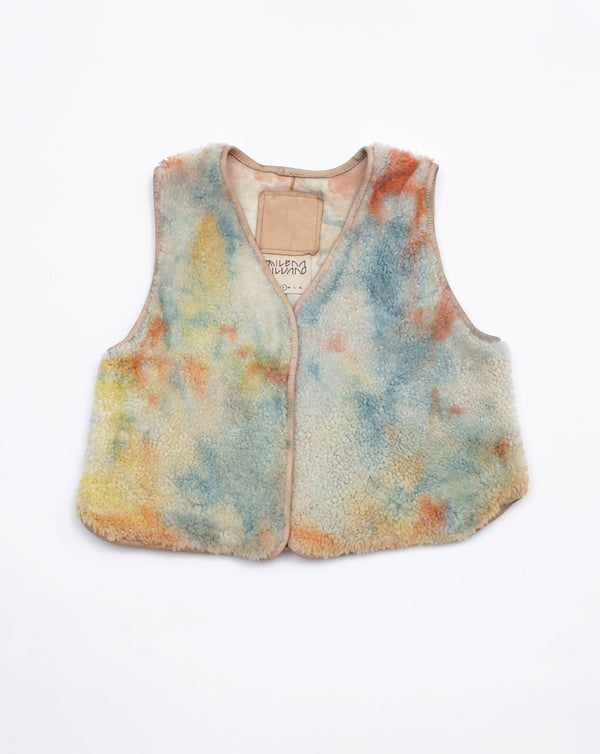 rainbow vest 59